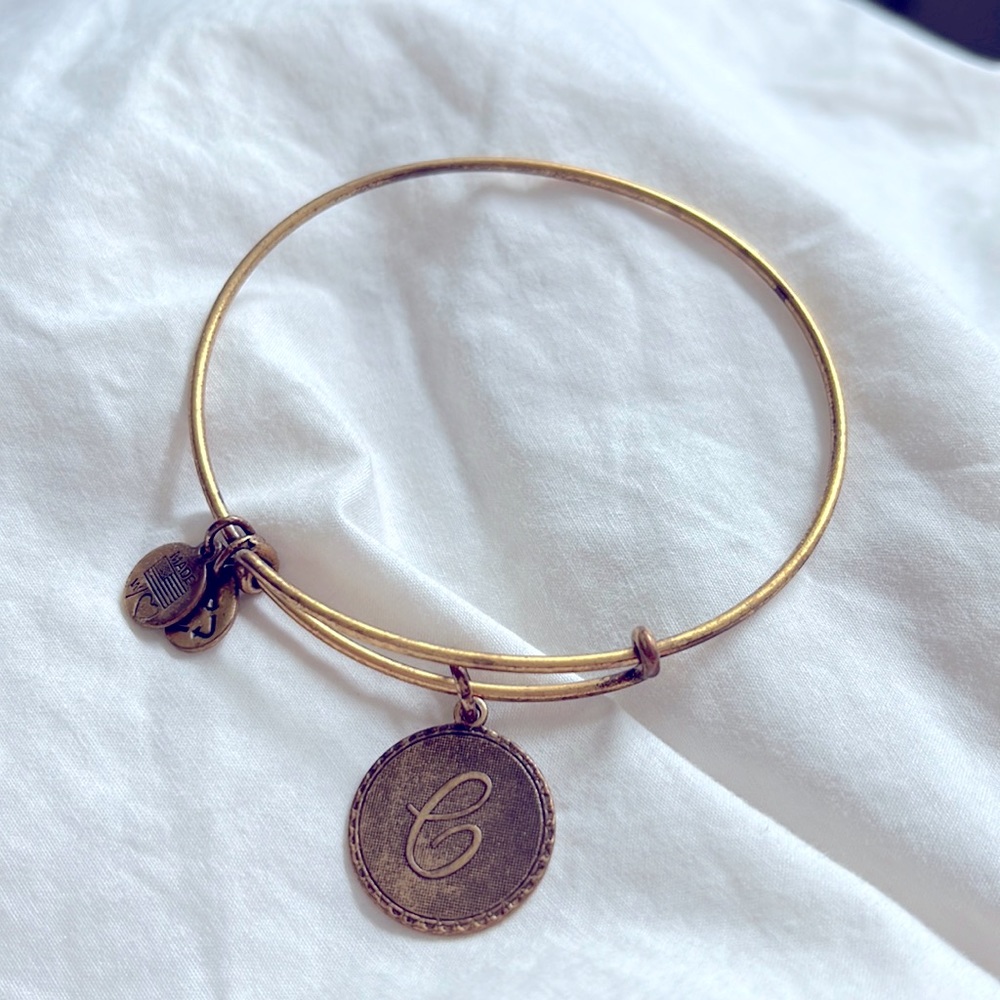 Alex and Ani charm bracelet